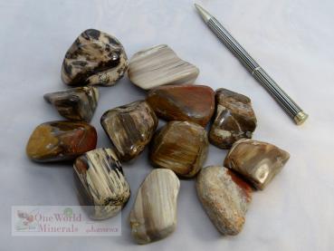 Preview: versteinertes Holz Trommelstein